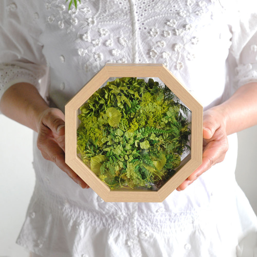 苔と葉っぱたち。みずみずしいグリーンを八角形の透明ガラスフレームに