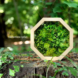 77d3864a4874df1fede661b04ed722