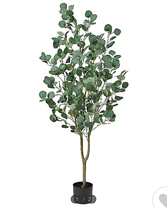 光触媒　人工観葉植物　ウォールグリーン　フェイク　フラワー　ユーカリ濃い葉 1枚目の画像
