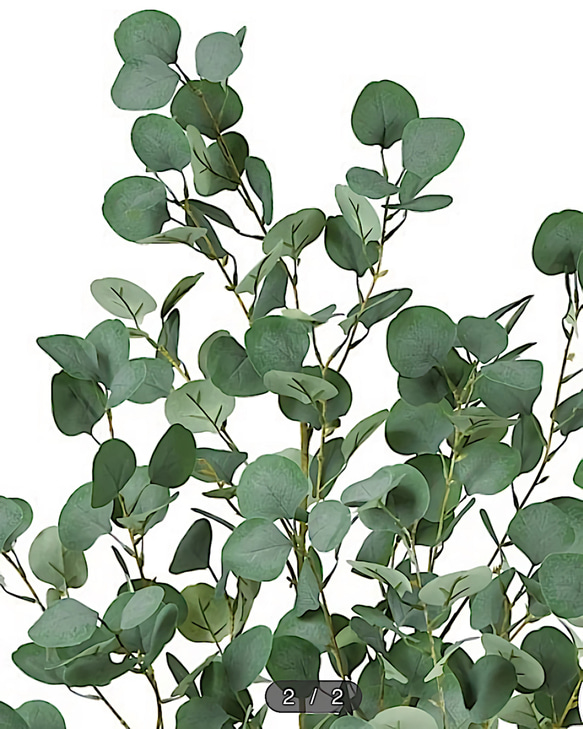 光触媒　人工観葉植物　ウォールグリーン　フェイク　フラワー　ユーカリ濃い葉 2枚目の画像