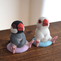 【訂做】坐麻雀 第4張的照片