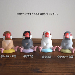 【訂做】坐麻雀 第3張的照片