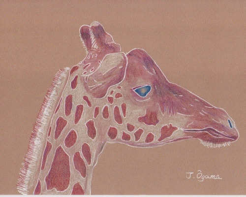 №10キリン オリジナルイラストポストカード イラスト TAD Ōyama 通販  