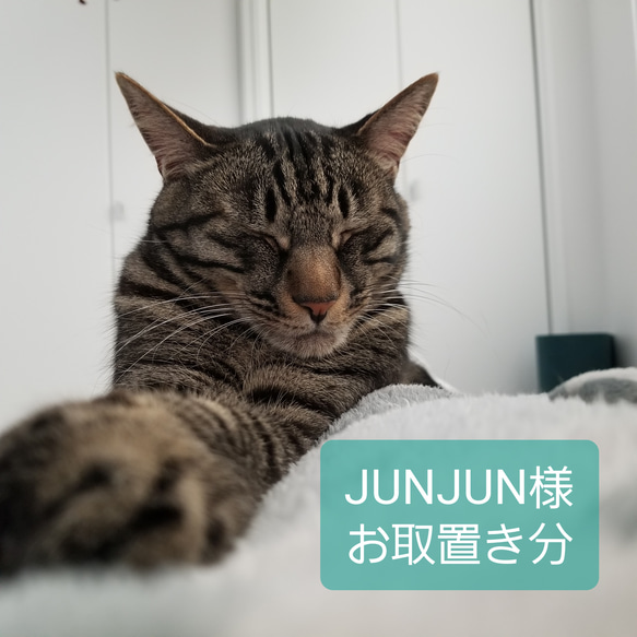 【JUNJUN様】猫の瞳10mm12mm グラスアイ 1枚目の画像