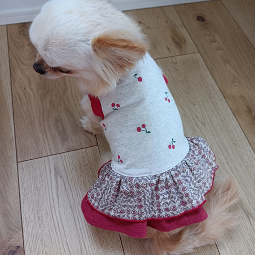 ハンドメイド ワンピース リバティ スリーピングローズ ペット服