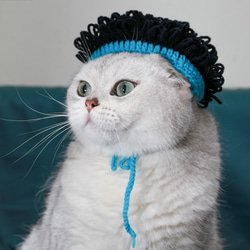 面白い漫画のかつらセット猫の帽子☆ペットのヘッドギア☆Creema限定クリスマス2022 2枚目の画像