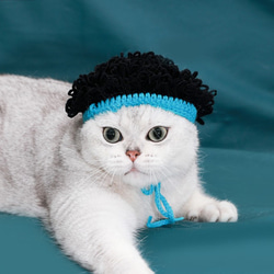 面白い漫画のかつらセット猫の帽子☆ペットのヘッドギア☆Creema限定クリスマス2022 1枚目の画像