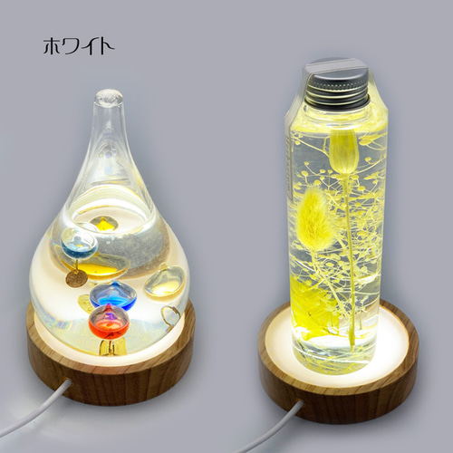 りんごの形のハーバリウム ハーバリウム・植物標本 Fullfleur 通販