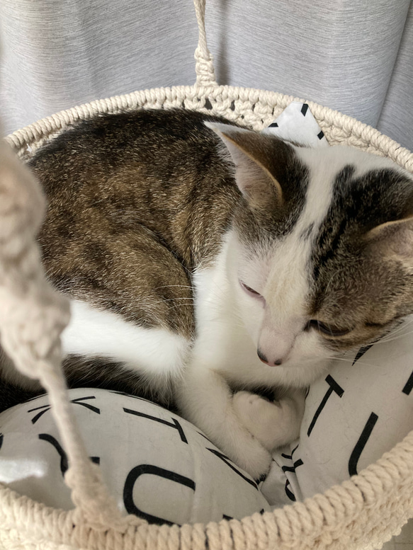 猫用　ハンモック　ベッド　マクラメ編み 9枚目の画像