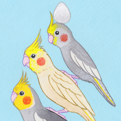 オーダー作品「小鳥ブレーメン（ポップ）　A4」イラスト/アート/絵画/似顔絵/鳥 オーダー作品「小鳥ブレーメン（ポップ） A4」イラスト/アート/絵画