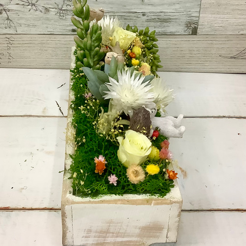木-221〉ハンドメイド【木箱】[タイプ 33 ]10個 多肉植物 多肉