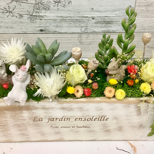 木箱　多肉植物に 30cm x 20cm x 5cm　12個セット 木箱 多肉植物に 30cm x 20cm x 5cm 12個セット 木箱 多肉