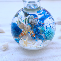 青いサンゴの海世界/球体ガラス瓶/熱帯魚/ハーバリウム/無料ラッピング 4枚目の画像