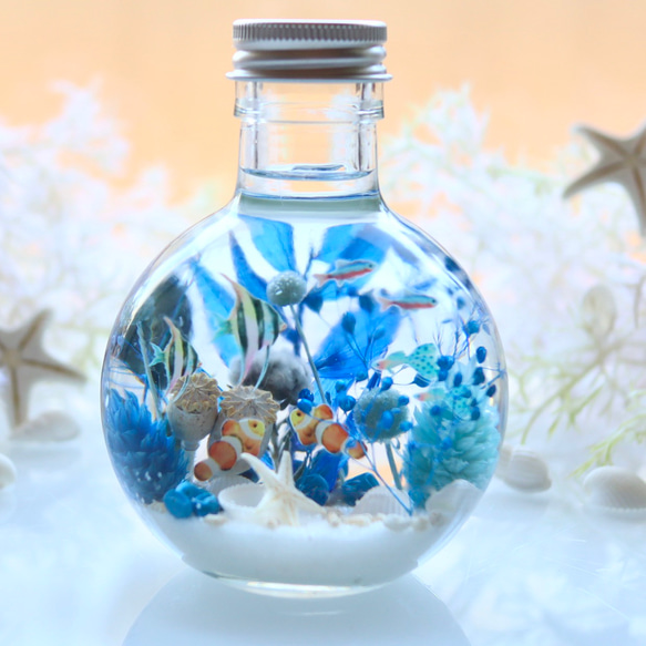 青いサンゴの海世界/球体ガラス瓶/熱帯魚/ハーバリウム/無料ラッピング 1枚目の画像