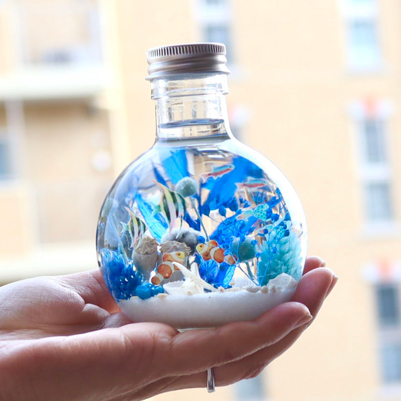 青いサンゴの海世界/球体ガラス瓶/熱帯魚/ハーバリウム/無料ラッピング 7枚目の画像