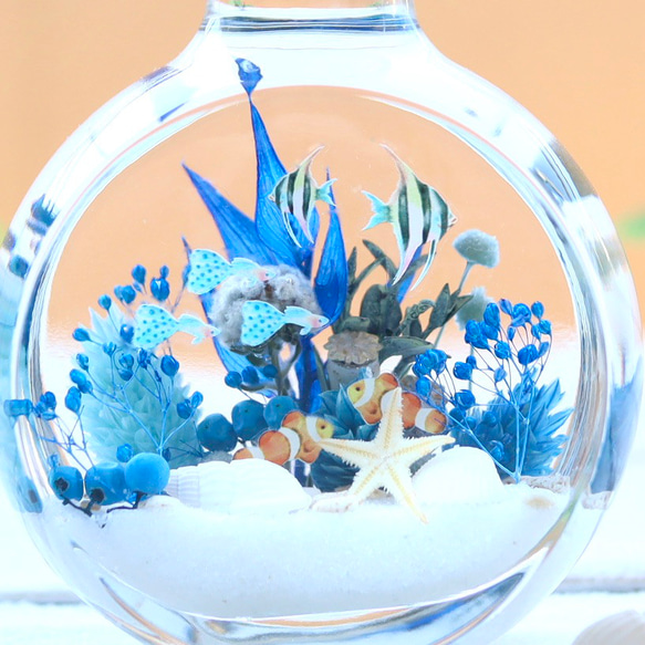 青いサンゴの可愛い海世界/熱帯魚/ハーバリウム/無料ラッピング 4枚目の画像