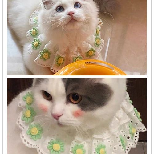 可愛いレースの花猫&犬&用襟型ペット首輪☆手編みニット☆春色