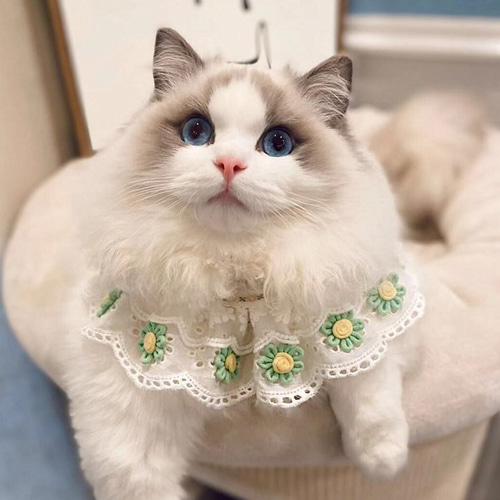 可愛いレースの花猫&犬&用襟型ペット首輪☆手編みニット☆春色