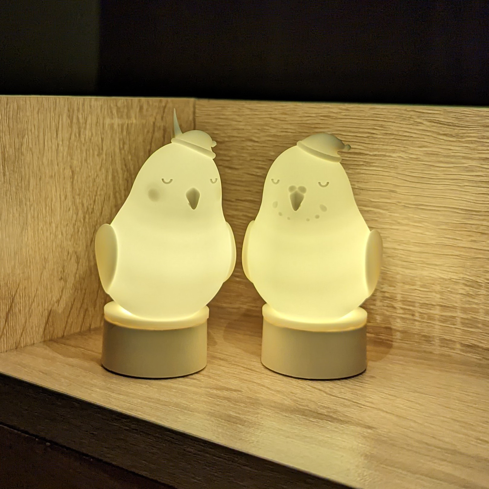 ２羽のおやすみインコさんランプ【おやすみオカメインコさん・おやすみセキセイインコさんセット】