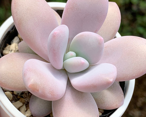 0d87dfc265ab9e8e27980307dad2e1