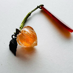 鬼灯レジンのネックレス【赤い鬼灯】 ネックレス・ペンダント