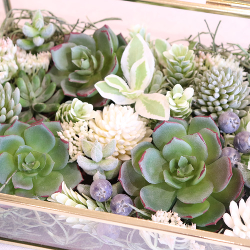 おしゃれなガラスケースに入った多肉植物の寄せ植え風アレンジ アート
