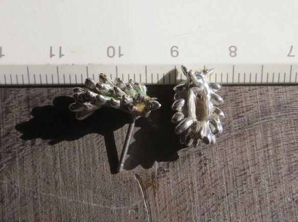 ”テングモウミウシのピアス　ペア”　ウミウシ　うみうし 3枚目の画像