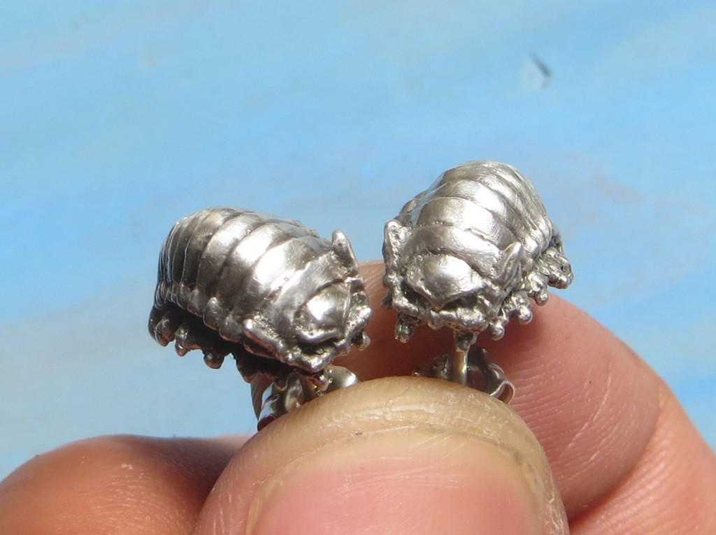 ”グソクムシのピアス　ペア”　ダイオウグソクムシ