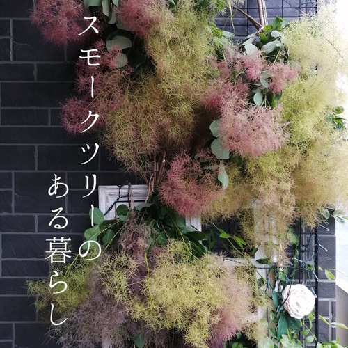 モクモクのスモークツリーとかすみ草 森にいるようなドライフラワー