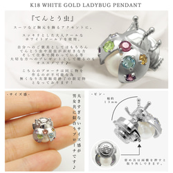 【残り1点】K18 ホワイトゴールド 可愛い てんとう虫 モチーフ ７色 の 天然石 と パール ブローチ 美輪宝石 3枚目の画像