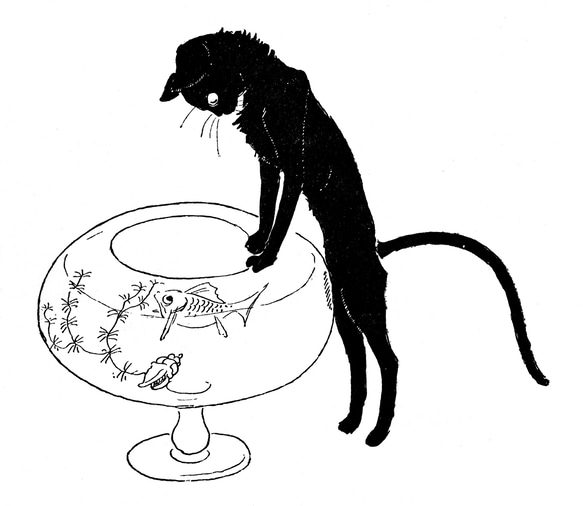 テオフィル・アレクサンドル・スタンラン ドライ　Tシャツ　黒猫　金魚　グッズ　猫　ネコ　黒ネコ　アニマル　可愛い 2枚目の画像