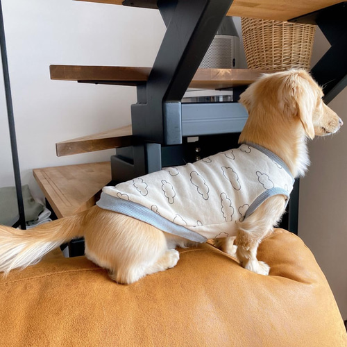 斜めストライプの犬の服 斜めストライプの犬の服