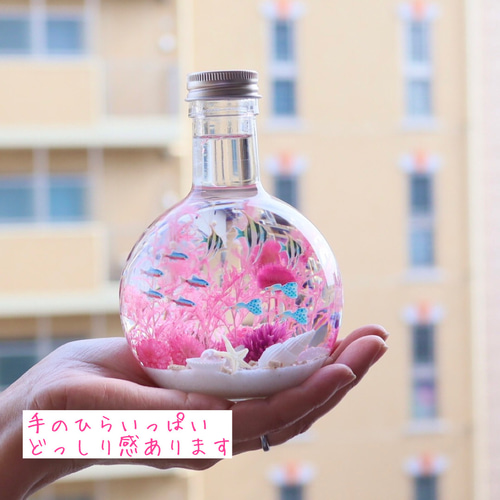 ハーバリウム 海の世界