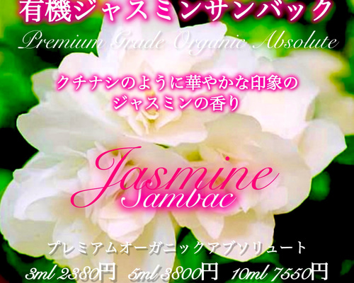 甘くエキゾチックで華やかな香り】有機ジャスミンサンバック