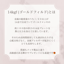 《選べる誕生石》イヤリング AAAランク天然石一粒 樹脂イヤリング/チタンポストピアス変更可　誕生日プレゼントやギフトに 15枚目の画像