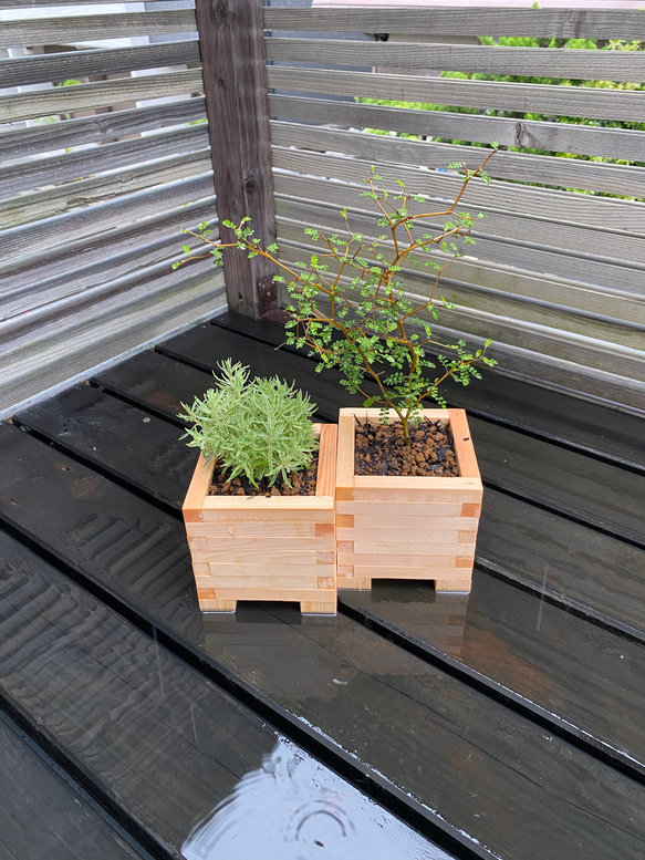 小さな木製プランター 一輪挿し・花瓶・花器 Hy-dex design 通販 小さな木製プランター 一輪挿し・花瓶・花器 Hy-dex design 通販