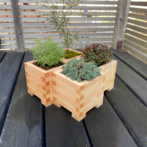 小さな木製プランター 一輪挿し・花瓶・花器 Hy-dex design 通販