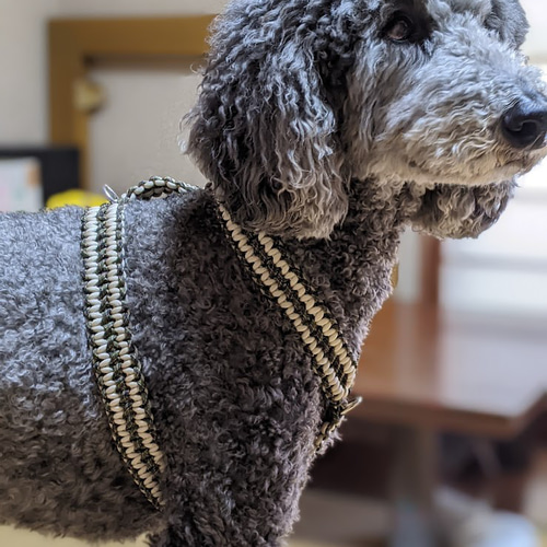 パラコード ハーネス 大型犬用 二点フック、ガッチリ (首回り