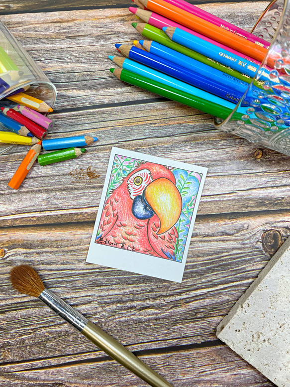 ｜鳥主人手繪｜拍立得系列｜附框｜ 金剛鸚鵡 色鉛筆 寵物 鳥 手繪 居家裝飾 磁鐵  鳥雜貨 第3張的照片