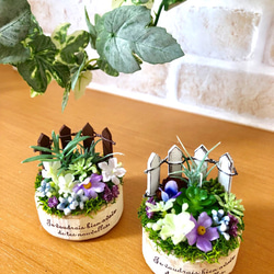 ミニチュアのラウンドプラント アートフラワー Cedar Rose 通販