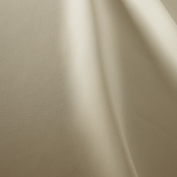 NO.5 二重織りのトリアセテート「人気ストレッチ素材」 OFF WHITE 2枚目の画像