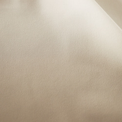 NO.5 二重織りのトリアセテート「人気ストレッチ素材」 OFF WHITE 5枚目の画像