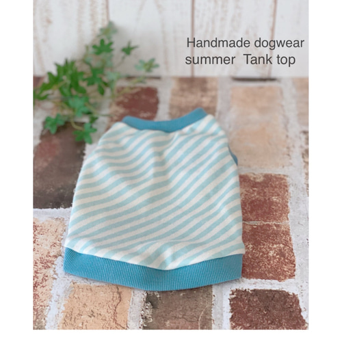 斜めストライプの犬の服