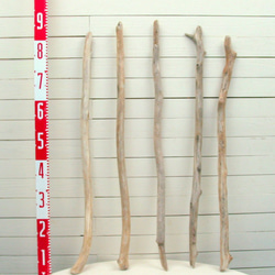 「送料無料」流木棒１ｍ未満の５本セット b456 DIY園芸インテリア店舗ディスプレイや撮影用に使える流木棒素材 2枚目の画像
