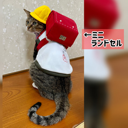 ミニランドセル＊*小型犬用・猫用 1枚目の画像