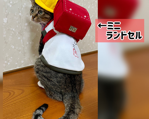 犬ランドセル♪小型犬用ランドセル♪