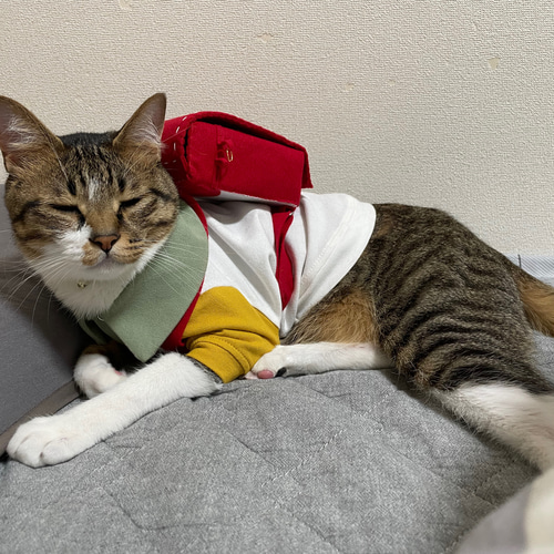 ミニランドセル＊*小型犬用・猫用 おもちゃ・ペット小物 沙哉 通販 