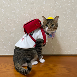 ミニランドセル＊*小型犬用・猫用 9枚目の画像