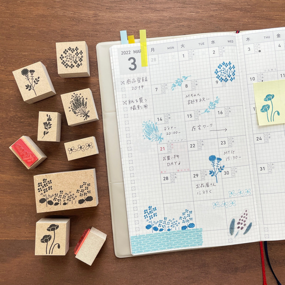 監督：Emi Nakano 創作者郵票盒（夏天的花） 夏天植物花郵票 郵票 第2張的照片