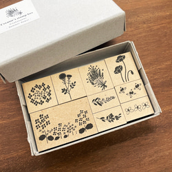 監督：Emi Nakano 創作者郵票盒（夏天的花） 夏天植物花郵票 郵票 第13張的照片